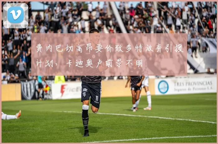 费内巴切高昂要价致多特放弃引援计划，卡迪奥卢前景不明